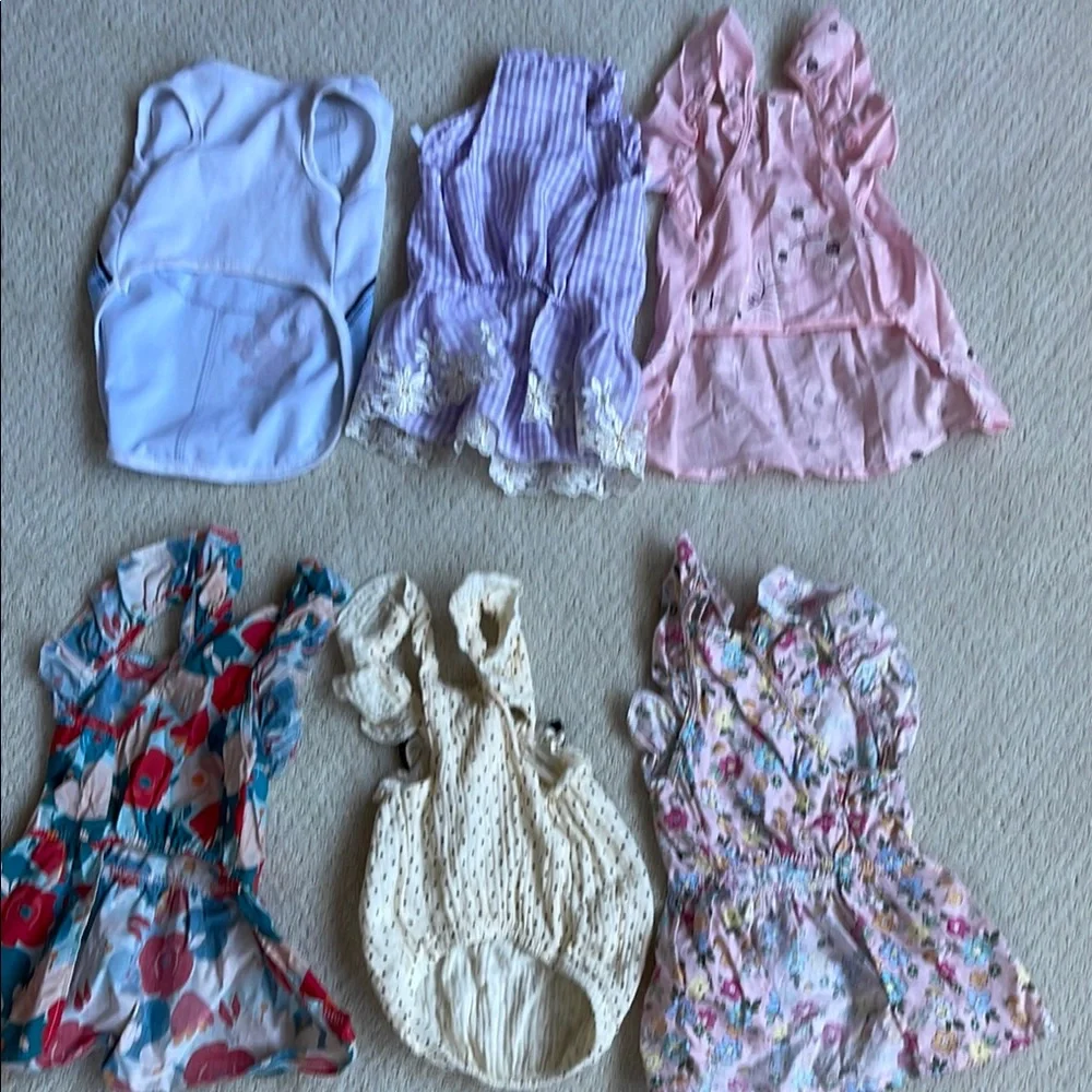 Bundle of Assorted Dog Dresses and Outfits